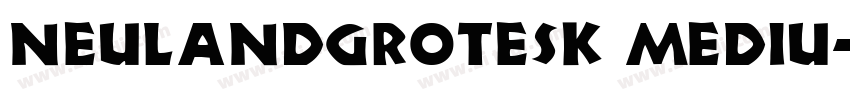 NeulandGrotesk Mediu字体转换